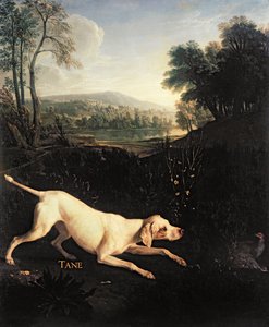 Louis XIVs Hund, Tane