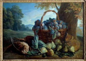 Pflaumen, Feigen und Schnäbel von Alexandre Francois Desportes
