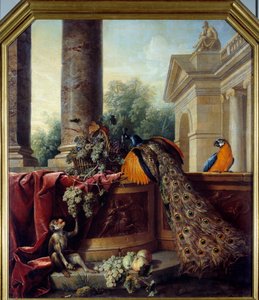 Stillleben mit Pfau, Papagei, Affe und Trauben