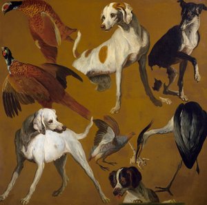 Studie von Vögeln und Hunden von Alexandre Francois Desportes