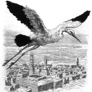 Ein Storch fliegt über ein nordafrikanisches Dorf