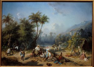 Eine Kakaoplantage in Westindien von Alexandre Solde