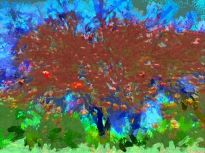 Obstbaum, 2020
