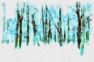 Winter im Wald, 2020