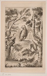 Der Adler und eine Versammlung von Vögeln von Alexia von Lode