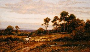 Eine Weide in Surrey von Alfred Augustus Glendening