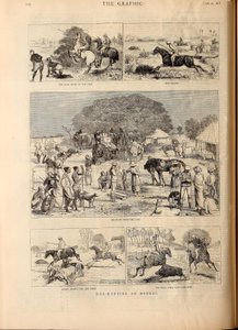Schweinejagd in Bengalen von Alfred Chantrey Corbould