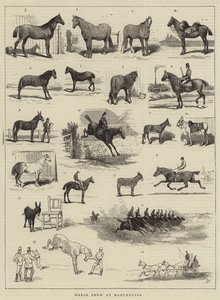 Pferdeschau in Manchester von Alfred Chantrey Corbould