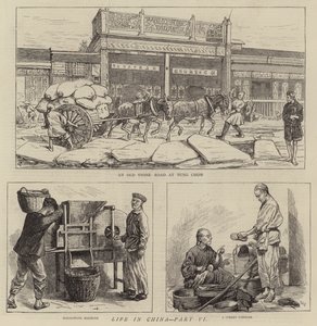 Leben in China, Teil VI von Alfred Chantrey Corbould