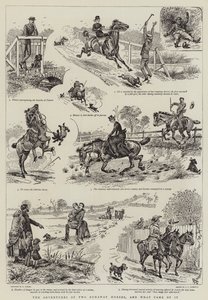 Die Abenteuer von zwei entlaufenen Pferden und was daraus wurde von Alfred Chantrey Corbould