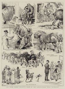 Die Show der Shire Horse Society in der Agricultural Hall, Islington von Alfred Chantrey Corbould