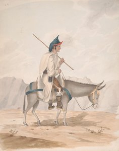 Grand Canary-Mann auf einem Esel von Alfred Diston