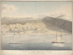 Ansicht von Port Orotava, Teneriffa, vom El Limpio de Las Calaveras von Alfred Diston
