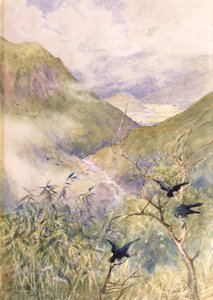 Blick über die Lilien: Das Tal von Nikko, Blick nach Osten in Richtung der Provinz Shimo-no-Tsuke, ca. 1889 von Alfred East
