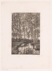 Hohe Bäume am Wasser von Alfred Elsen (signed by artist)