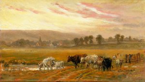 Sonnenuntergang bei Amberley von Alfred Fitzwalter Grace