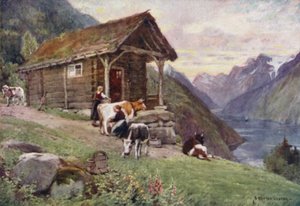 Ein norwegischer Fjord