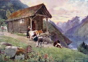 Ein Saeter, Vetle Fjord
