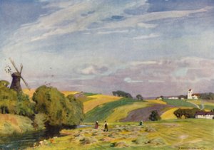Dänemark: Eine typische dänische Landschaft, Südjütland