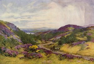 Dänemark: Raebild-Hügel, nahe Aalborg von Alfred Heaton Cooper