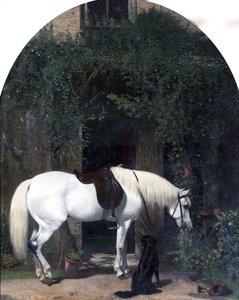 Weißes Pferd und Retriever von Alfred Hichens Corbould