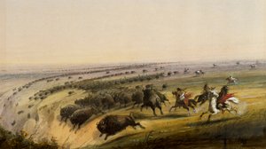 Büffeljagd von Alfred Jacob Miller