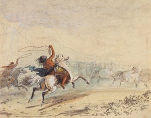 Wildpferde einfangen, ca. 1837