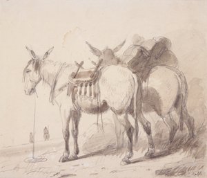 Maultierausrüstung, ca. 1837 von Alfred Jacob Miller