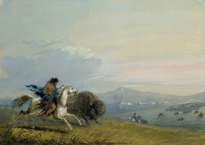 Pawnee jagt Büffel