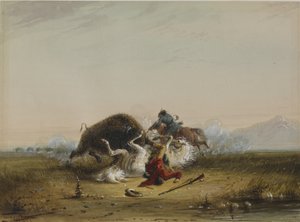 Pierre und der Büffel von Alfred Jacob Miller