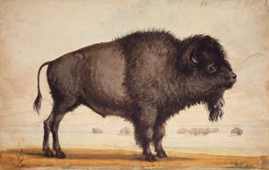 Den Wind wittern, ca. 1837