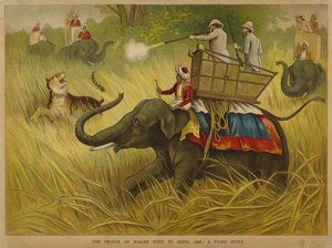 Edward, Prinz von Wales, schießt Tiger bei einem Besuch in Indien von Alfred Johnson