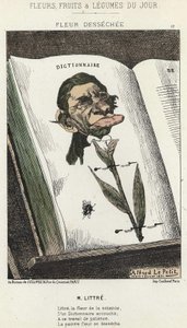 Verwelkte Blume: Karikatur auf Littré - Illustration vom 01.02.1871 in „Blumen, Früchte und Gemüse des Tages“