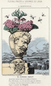 Die Hortensie: Karikatur auf Edmond About (1828 - 1885) - Illustration vom 19.01.1871 in „Blumen, Früchte und Gemüse des Tages“ von Alfred Le Petit