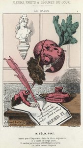 Le Radis: Karikatur über Félix Pyat (1810 - 1889) - ill. vom 02/02/187 in „Blumen, Früchte und Gemüse des Tages“ von Alfred Le Petit