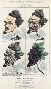 Die Traube: Karikatur über Henri Rochefort - ill. vom 09/02/1871 in „Blumen, Früchte und Gemüse des Tages“ von Alfred Le Petit