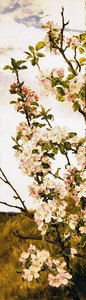 Apfelblüte von Alfred Parsons