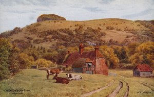 Chanctonbury Ring, Worthing von Alfred Robert Quinton