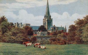 Chichester, Kathedrale, von den Wiesen von Alfred Robert Quinton