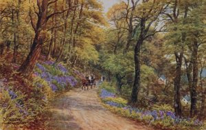 Hobby Drive, Clovelly von Alfred Robert Quinton