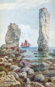 Old Harry Rocks, Swanage von Alfred Robert Quinton