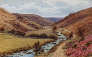 Das Doone-Tal, Lynton von Alfred Robert Quinton