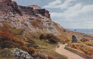 Die Unterklippe, Niton, Isle of Wight von Alfred Robert Quinton