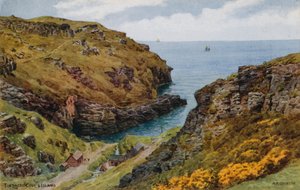 Tintagel, Bucht und Insel von Alfred Robert Quinton