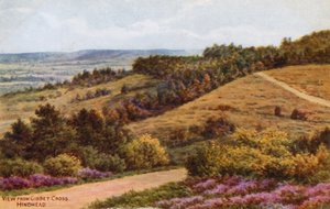 Blick vom Gibbet Cross, Hindhead von Alfred Robert Quinton