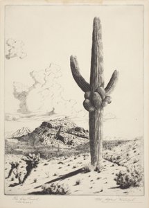 Der Wächter (Sahuaro) von Alfred Rudolph Waud