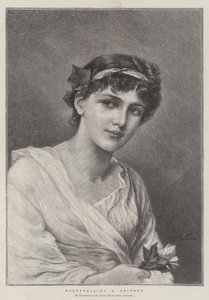 Hortensia von Alfred Seifert