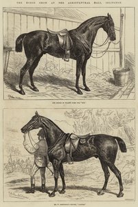 Die Pferdeschau in der Agricultural Hall, Islington