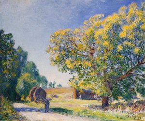 Rund um den Wald, eine Lichtung; Autour de la Forêt, une Clairière von Alfred Sisley