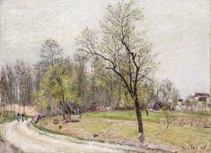 Am Waldrand im Frühling, am Abend